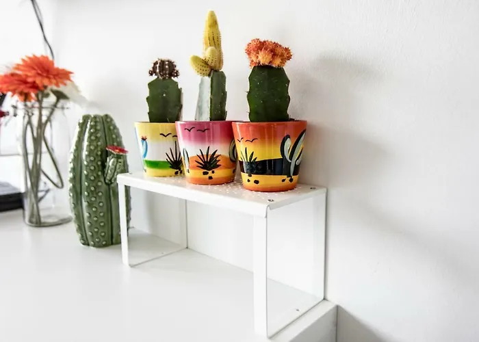 公寓 Val Di Sogno Grand View 马尔切西内